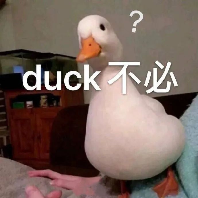 DƬ